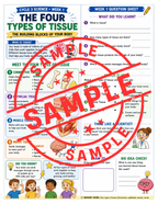 Classical Conversations Cycle 3 Science Supplemental Packet (Weeks 1–24)