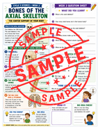 Classical Conversations Cycle 3 Science Supplemental Packet (Weeks 1–24)