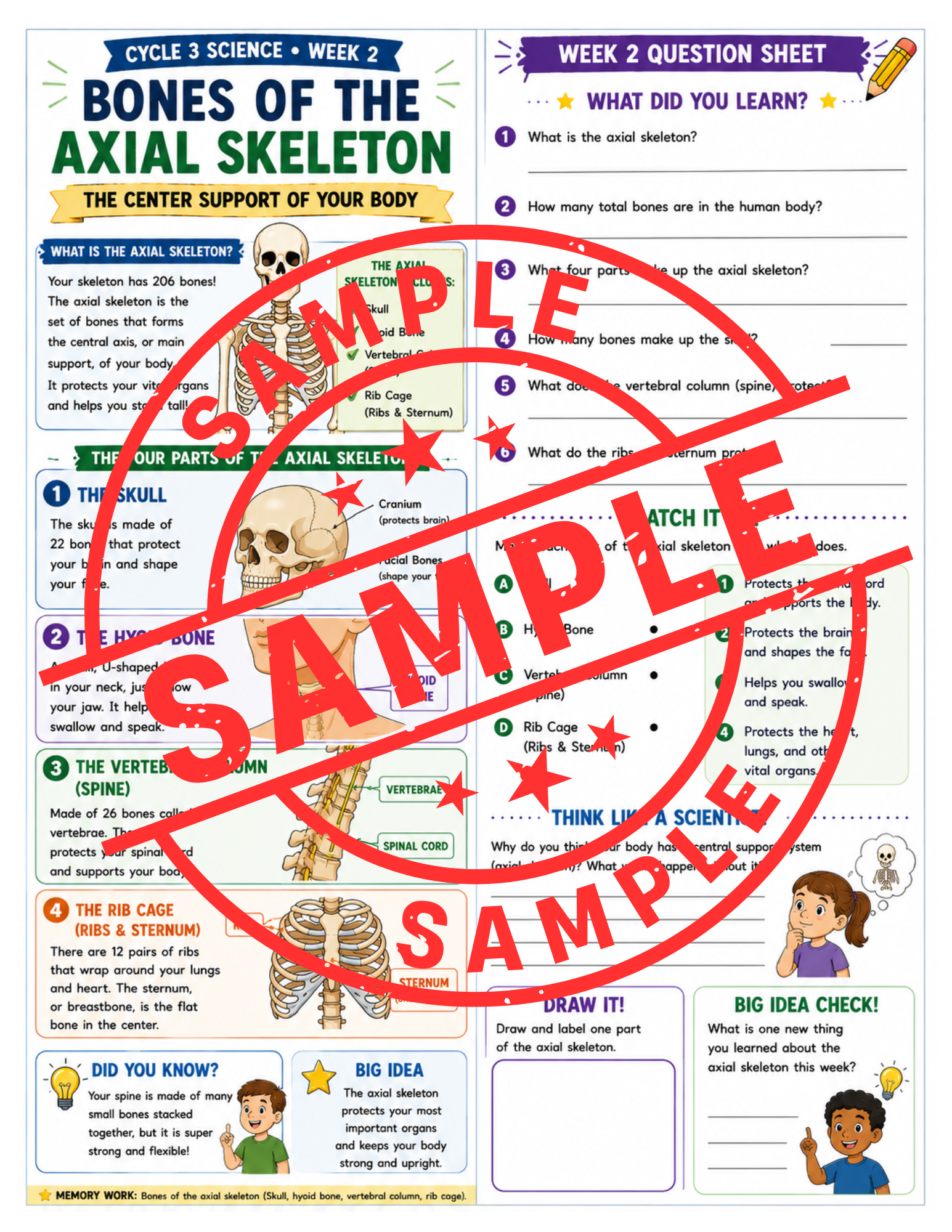 Classical Conversations Cycle 3 Science Supplemental Packet (Weeks 1–24)