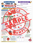 Classical Conversations Cycle 3 Science Supplemental Packet (Weeks 1–24)