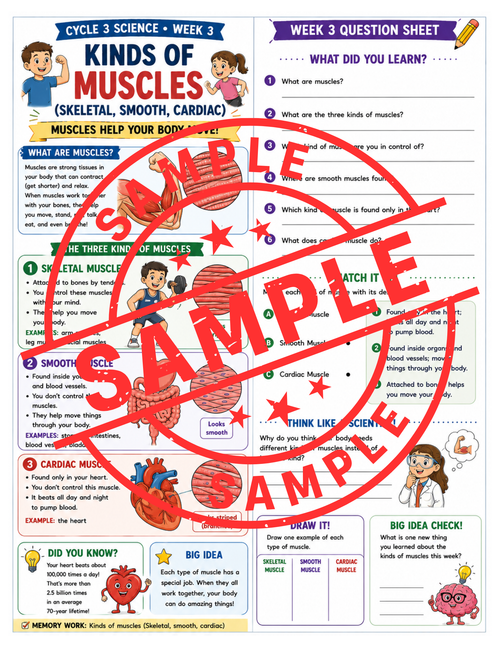 Classical Conversations Cycle 3 Science Supplemental Packet (Weeks 1–24)